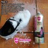FLAMINGO®